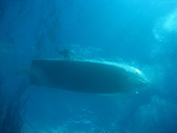 Diving in Belize